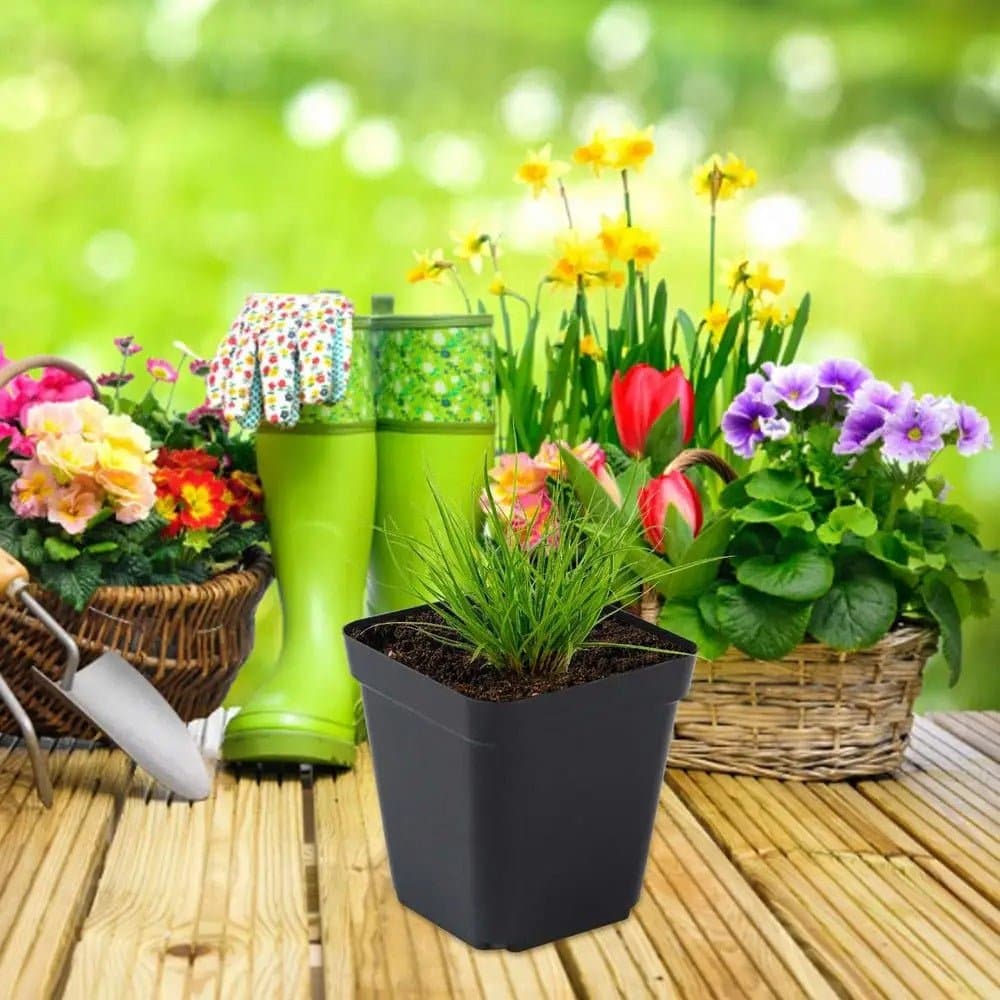 Pot de fleur plastique - Noir - Pur Jardin