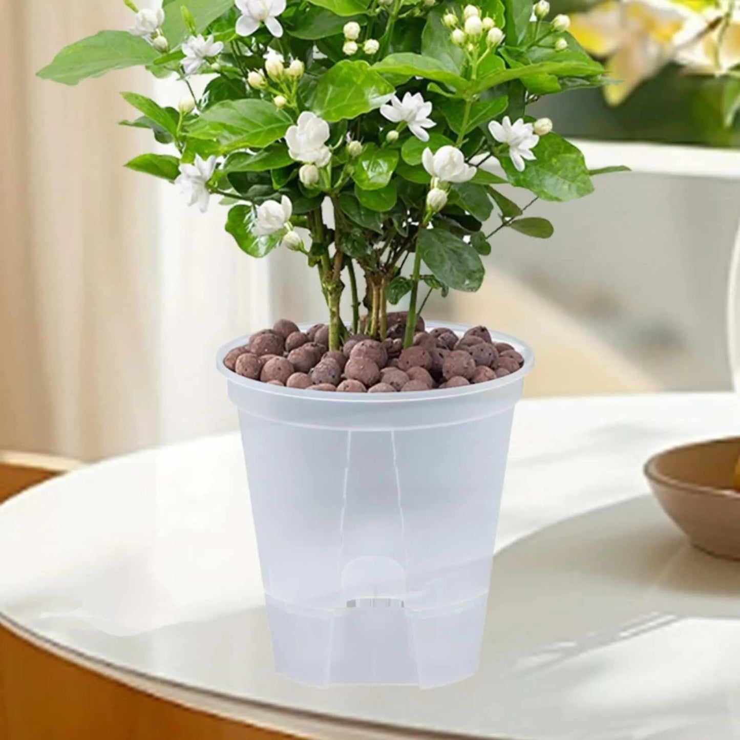 Pot plastique plante - Givre - Pur Jardin