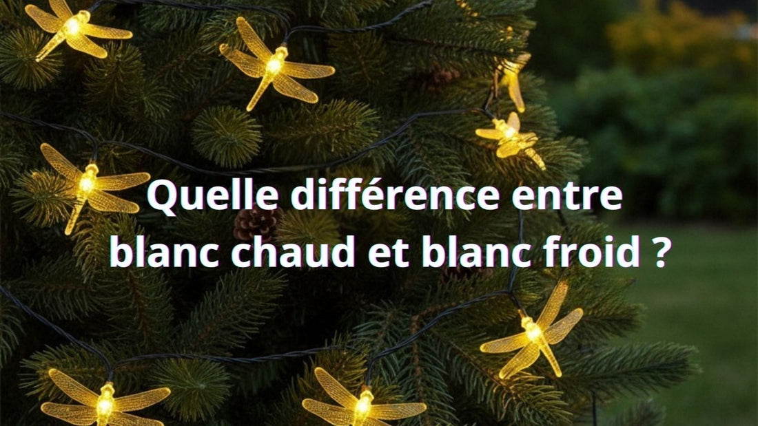 Quelle différence entre blanc chaud et blanc froid ? - Pur Jardin