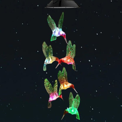 Carillons-colibri-colibri