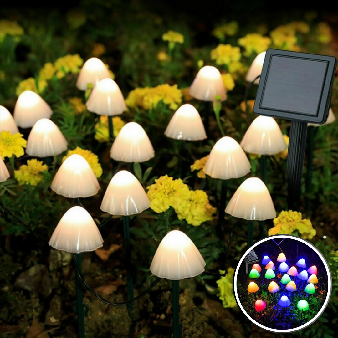 Lampes-solaires-de-jardin-de-qualité-champignon