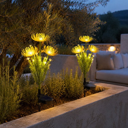 Lampes jardins solaires PurFloraison pour terrasse 