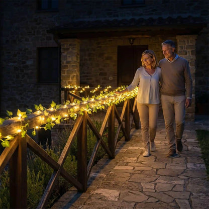 guirlande-lumineuse-solaire-exterieur-pour-allee