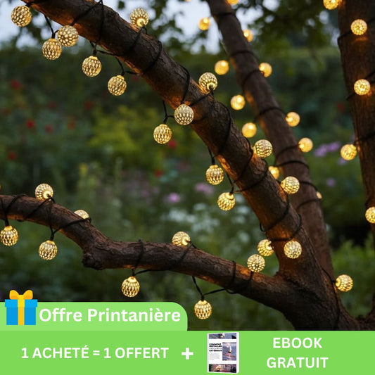 guirlande-lumineuse-solaire-or-offre-printaniere