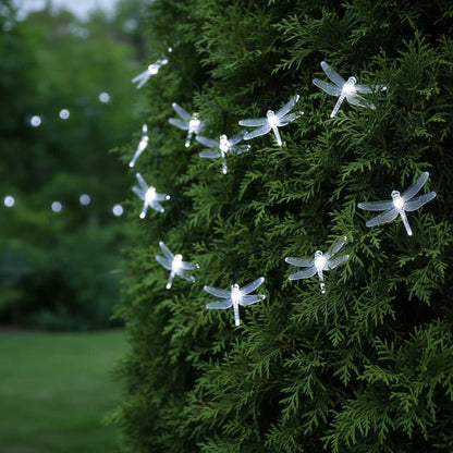 Guirlande solaire exterieur - Libellule - Pur Jardin