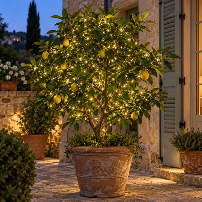 guirlande exterieur lumineuse PurEnlacement pour terrasse