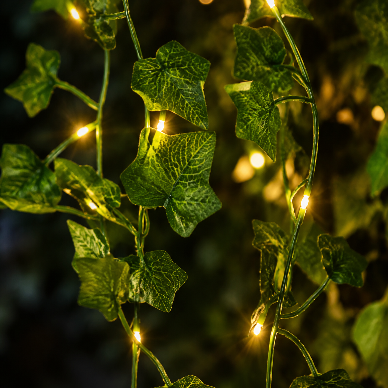 guirlande solaire PurLierre naturelle