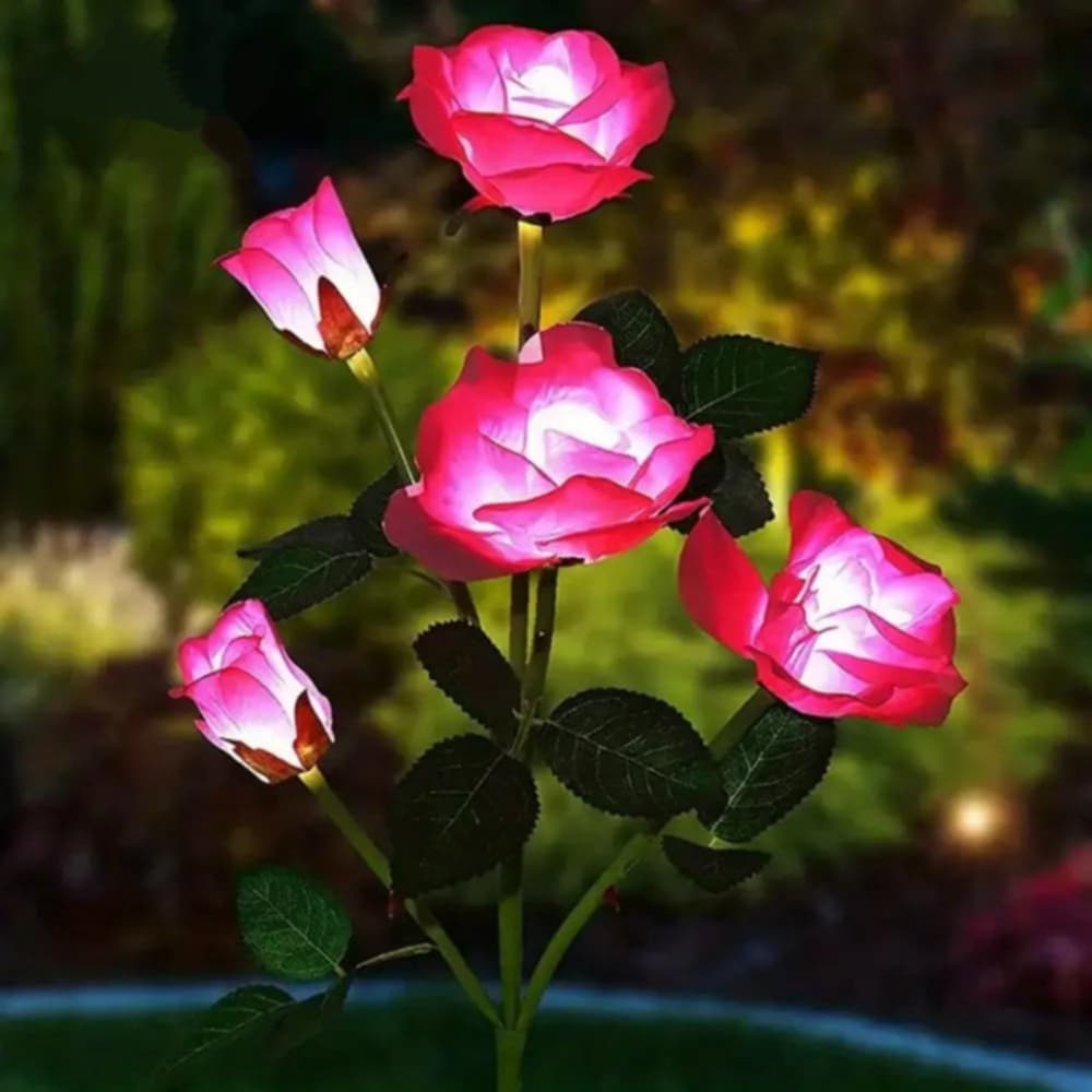 Lampes jardins solaires - Rose eternelle - Pur Jardin