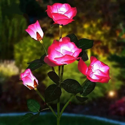 Lampes jardins solaires - Rose eternelle - Pur Jardin