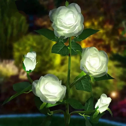 Lampes jardins solaires - Rose eternelle - Pur Jardin
