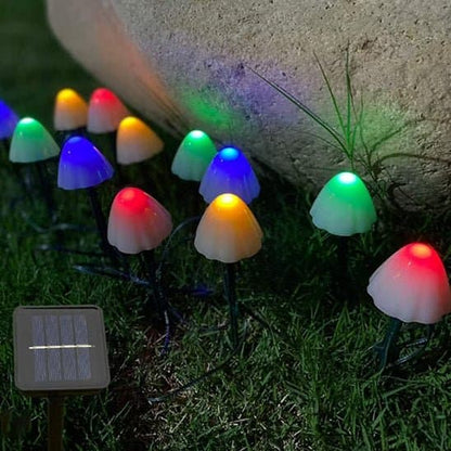 Lampes solaires de jardin - Champignon - Pur Jardin