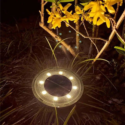 Lampes solaires pour le jardin - Rondelle - Pur Jardin