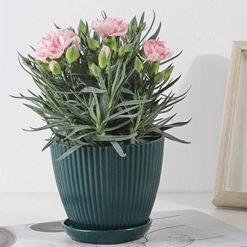 Pot de fleur plastique - Coloré - Pur Jardin