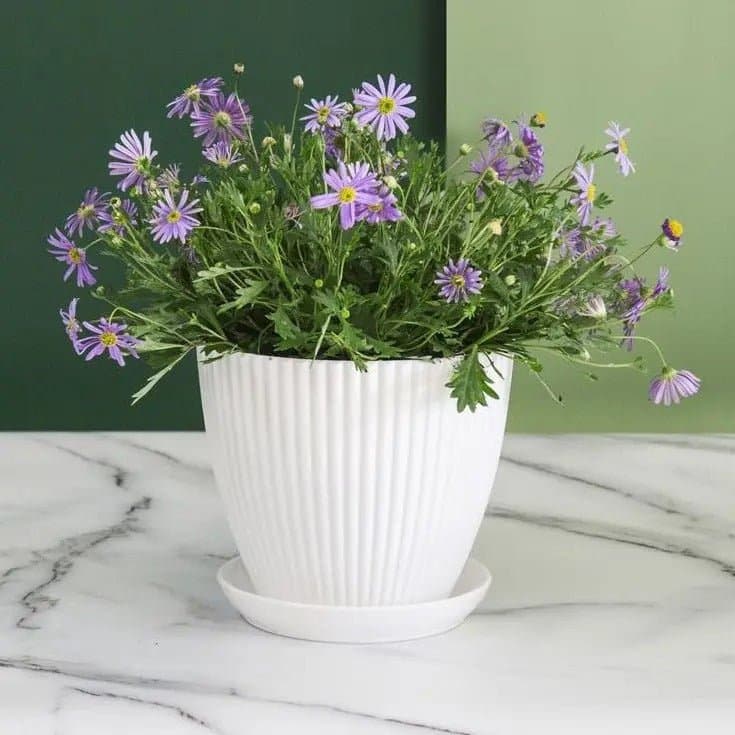 Pot de fleur plastique - Coloré - Pur Jardin