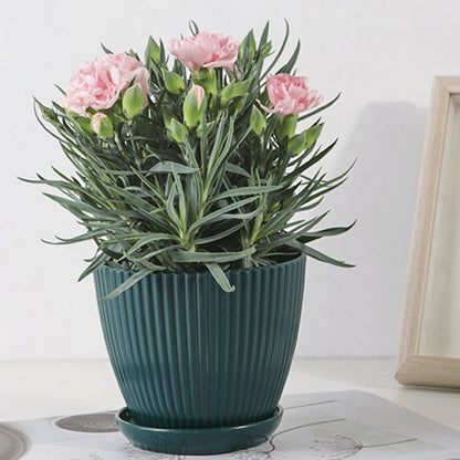 pot-de-fleur-plastique-vert-colore