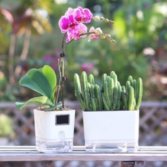 Pot en plastique - Blanc - Pur Jardin