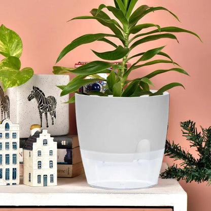 pot-plante-plastique-gros-blanc-auto-arrosant