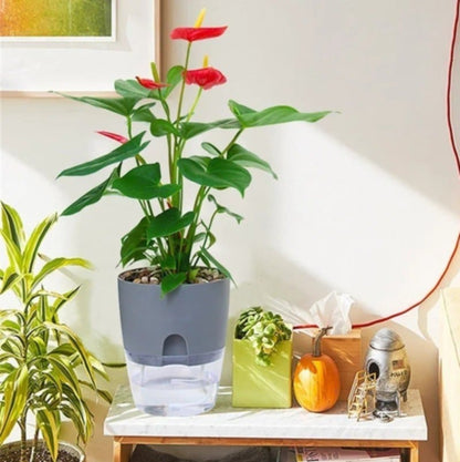 pot-plante-plastique-moyen-gris-auto-arrosant