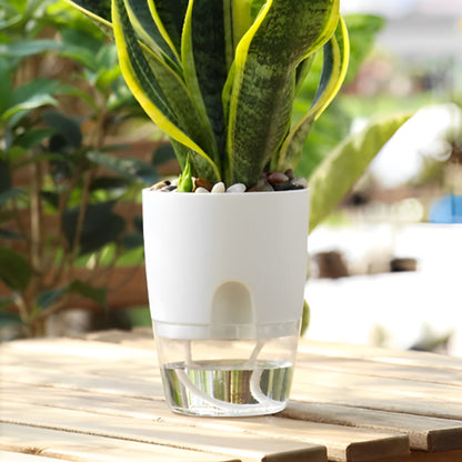 pot-plante-plastique-petit-blanc-auto-arrosant