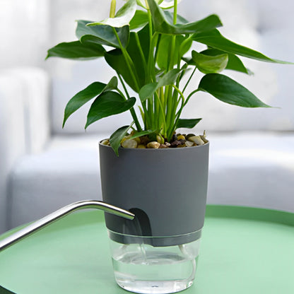 pot-plante-plastique-petit-gris-auto-arrosant