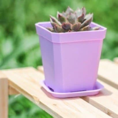 Pot plastique - Multicolore - Pur Jardin