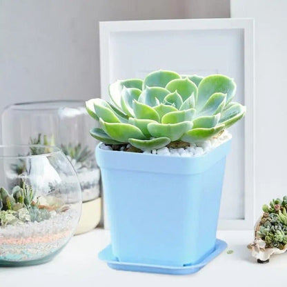 Pot plastique - Multicolore - Pur Jardin