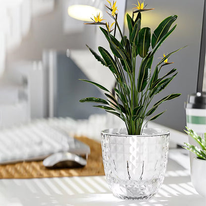 pot-plastique-plante-blanc-rond