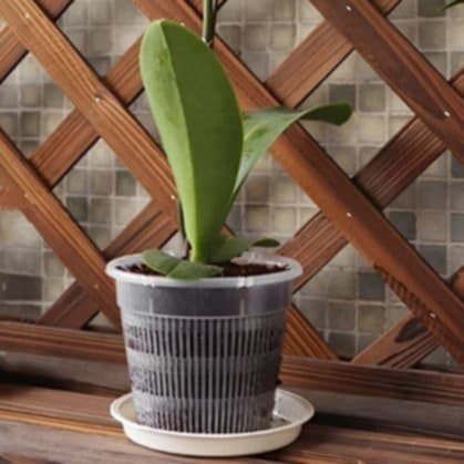 Pot plastique plante - Transparent - Pur Jardin