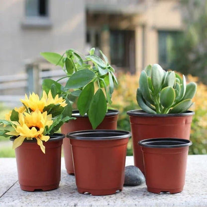 Pot plastique - Terre cuite - Pur Jardin