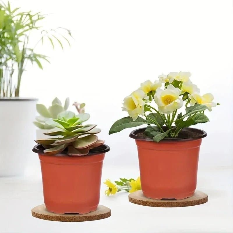 Pot plastique - Terre cuite - Pur Jardin