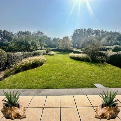 Pot pour plantes extérieures - Souche - Pur Jardin