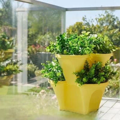 pots-pour-fraisiers-cascade-jaune