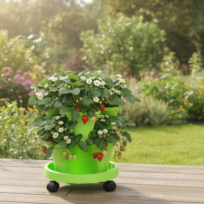 pots-pour-fraisiers-cascade-vert